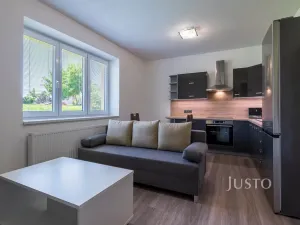 Pronájem bytu 2+kk, Staré Město, Mahenova, 45 m2