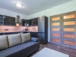 Pronájem bytu 2+kk, Staré Město, Mahenova, 45 m2