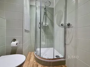 Pronájem bytu 1+1, Ústí nad Labem, Stará, 36 m2