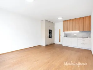 Pronájem bytu 1+kk, Praha - Vysočany, Gerstelova, 35 m2