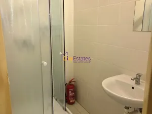 Pronájem bytu 1+1, České Budějovice, Dr. Stejskala, 59 m2