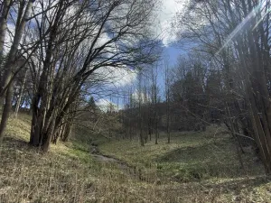 Prodej louky, Výprachtice, 9974 m2