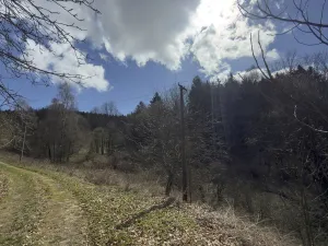 Prodej louky, Výprachtice, 9974 m2