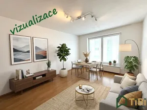 Prodej bytu 2+1, Brno, Masná, 48 m2