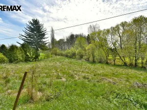 Prodej louky, České Meziříčí, 1214 m2