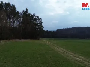 Prodej lesa, Mrákotín, 7873 m2