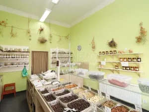 Pronájem obchodního prostoru, Praha - Břevnov, Bělohorská, 32 m2