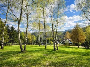 Prodej zahrady, Horní Bečva, 770 m2