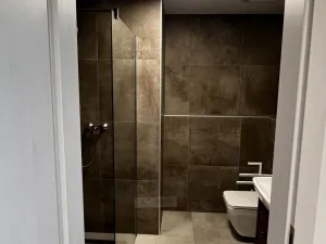 Pronájem bytu 1+kk, České Budějovice, Chelčického, 47 m2