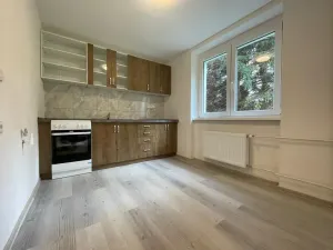 Pronájem bytu 1+1, Litvínov - Chudeřín, Horská, 42 m2