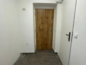 Pronájem bytu 1+1, Litvínov - Chudeřín, Horská, 42 m2