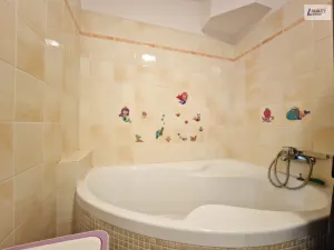 Prodej bytu 2+1, Příbram - Příbram VIII, Čechovská, 79 m2