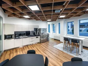 Pronájem kanceláře, Praha, Radlická, 430 m2