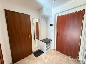 Pronájem bytu 1+kk, Praha - Záběhlice, Mattioliho, 45 m2