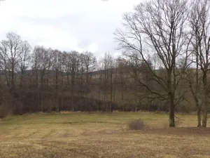 Dražba louky, Mladá Vožice, 26557 m2