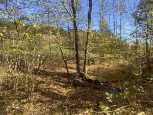 Dražba pozemku, Lučany nad Nisou, 449 m2