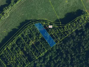 Dražba lesa, Chotěbudice, 782 m2