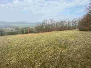 Dražba louky, Linhartice, 9269 m2