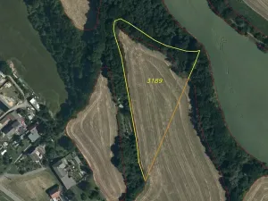 Dražba louky, Linhartice, 9269 m2