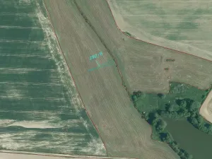 Dražba louky, Okrouhlá Radouň, 17482 m2