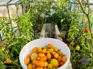 Prodej chaty, Zlín - Malenovice, 18 m2