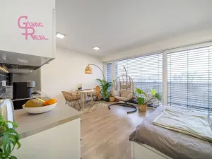 Pronájem bytu 1+kk, Brno - Královo Pole, Kollárova, 39 m2