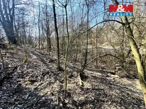 Prodej pozemku pro bydlení, Heřmanov - Fojtovice, 835 m2