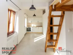 Pronájem bytu 1+kk, Světnov, 31 m2