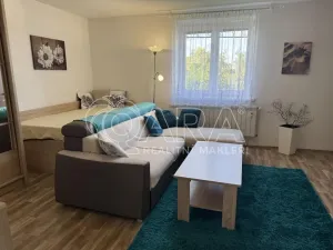 Pronájem bytu 1+1, Šenov u Nového Jičína, Anenská, 35 m2