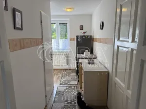 Pronájem bytu 1+1, Šenov u Nového Jičína, Anenská, 35 m2