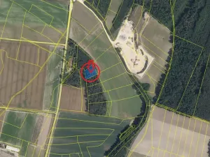 Prodej podílu lesa, Sojovice, 1204 m2