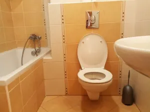 Pronájem bytu 1+kk, Brno, Hrázka, 40 m2