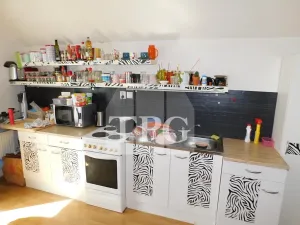 Prodej vícegeneračního domu, Mochov, 296 m2