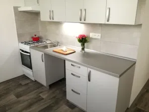 Pronájem bytu 2+1, Ostrava - Hrabůvka, Dr. Martínka, 50 m2