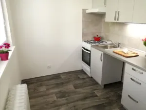 Pronájem bytu 2+1, Ostrava - Hrabůvka, Dr. Martínka, 50 m2