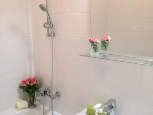 Pronájem bytu 2+1, Ostrava - Hrabůvka, Dr. Martínka, 50 m2