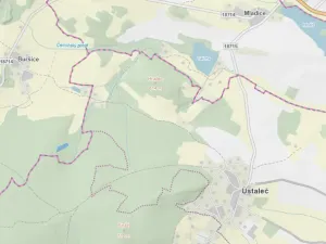 Prodej lesa, Kolinec - Buršice, 3423 m2