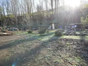 Prodej pozemku pro bydlení, Bělá pod Pradědem, 960 m2