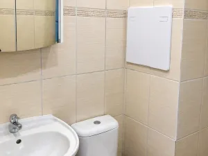 Pronájem bytu 1+kk, Dobřany, Sokolovská, 28 m2