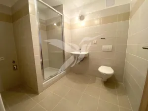 Pronájem bytu 1+kk, Plzeň, Stehlíkova, 30 m2