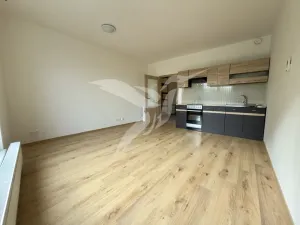 Pronájem bytu 1+kk, Plzeň, Stehlíkova, 30 m2