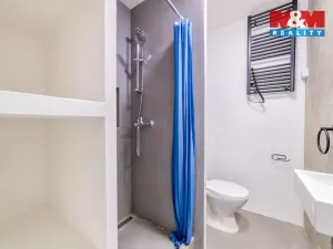 Prodej bytu 1+1, Teplá, Palackého, 41 m2