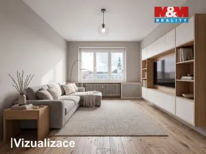 Prodej bytu 3+1, Opava - Předměstí, Vodní, 64 m2