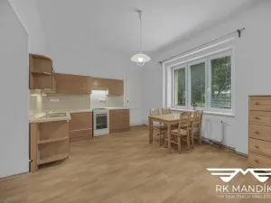 Pronájem bytu 2+kk, Praha - Dejvice, Koulova, 46 m2