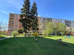 Pronájem bytu 2+1, Plzeň, Masarykova, 51 m2