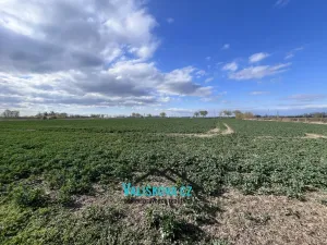 Prodej pozemku, Hulín, 61843 m2