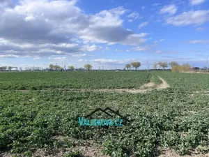 Prodej pozemku, Hulín, 61843 m2