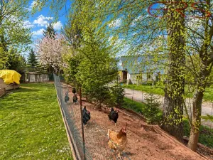 Prodej rodinného domu, Bukovina u Čisté, 259 m2