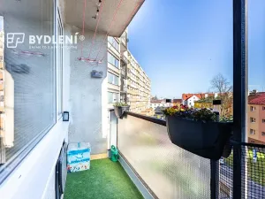 Prodej bytu 2+1, Chomutov, Palackého, 66 m2