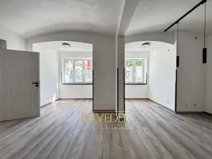 Pronájem bytu 2+kk, Teplice, Masarykova třída, 73 m2